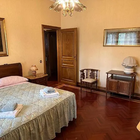 Olga Guest house *